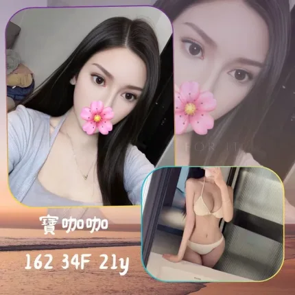 寶咖咖主要形象照片