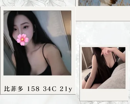 比菲多主要形象照片