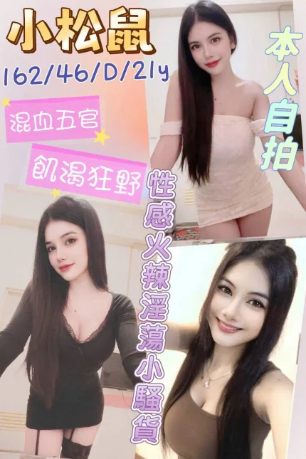 小松鼠形象照片