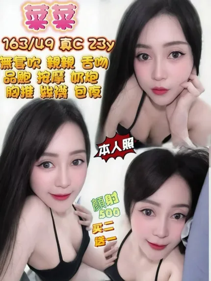 菜菜主要形象照片