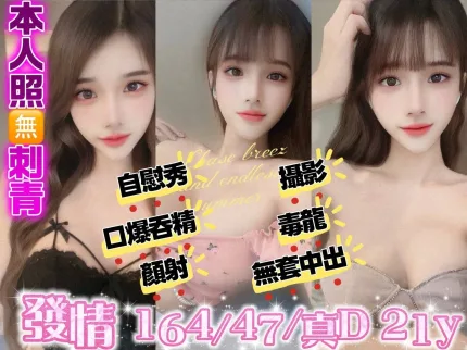 發情主要形象照片